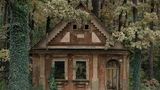 Image Name: Dorf 7  Photographer Name: Domagoj Burilović  Year: 2022  Image Description: <p>The photo is a photo montage of a historic village house and local forests and plants taken in the Croatian agricultural region of Slavonia. The photo is part of a broader story about the mass exodus of people from the region. The photo montage was created in 2021 and its parts were shot in 2020 and 2021.</p>  Series Name: Dorf  Series Description: ‘Dorf’ is the German word for village. In the 19th century, the Croatian region of Slavonia was inhabited by people from all nations of the Austro-Hungary empire. A fast economic development began with the exploitation of forest and land. Villages became an elementary demographic unit. German colonists made the largest cultural impact through language, crafts and architecture. Instead of building with mud, people started to build with baked bricks – this raised the quality of life. The irony of history is that today, due to the impact of the war in Croatia and subsequent industry decline, the population is leaving Slavonia for Germany, in search of a better life. With the extinction of the village, the historic houses that became part of its cultural identity are the first to decay. These photographs are a photo montage of houses and local nature. Exploitation of nature was the reason these houses came into being – now this very nature is destroying them.