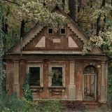 Image Name: Dorf 7  Photographer Name: Domagoj Burilović  Year: 2022  Image Description: <p>The photo is a photo montage of a historic village house and local forests and plants taken in the Croatian agricultural region of Slavonia. The photo is part of a broader story about the mass exodus of people from the region. The photo montage was created in 2021 and its parts were shot in 2020 and 2021.</p>  Series Name: Dorf  Series Description: ‘Dorf’ is the German word for village. In the 19th century, the Croatian region of Slavonia was inhabited by people from all nations of the Austro-Hungary empire. A fast economic development began with the exploitation of forest and land. Villages became an elementary demographic unit. German colonists made the largest cultural impact through language, crafts and architecture. Instead of building with mud, people started to build with baked bricks – this raised the quality of life. The irony of history is that today, due to the impact of the war in Croatia and subsequent industry decline, the population is leaving Slavonia for Germany, in search of a better life. With the extinction of the village, the historic houses that became part of its cultural identity are the first to decay. These photographs are a photo montage of houses and local nature. Exploitation of nature was the reason these houses came into being – now this very nature is destroying them.