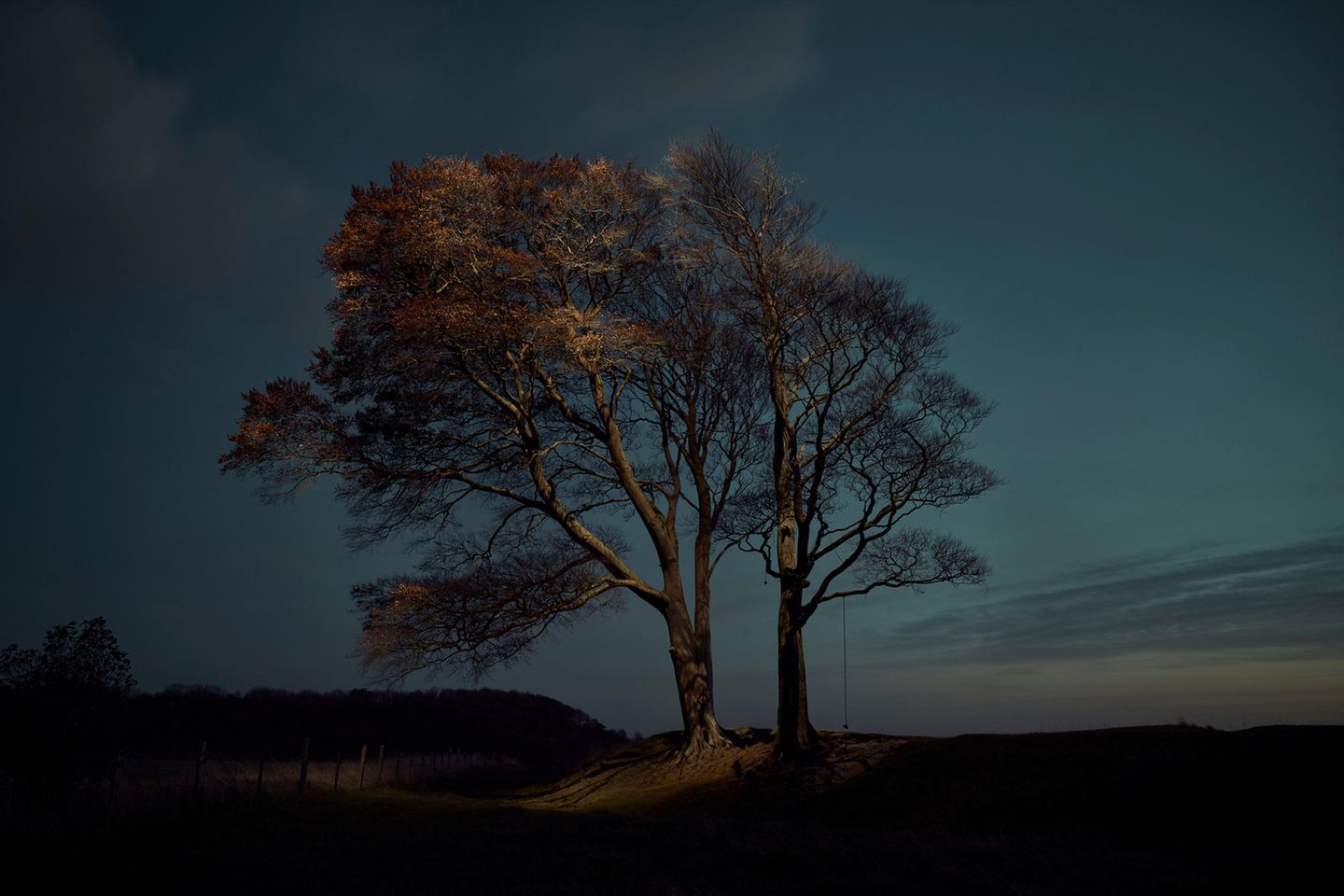 Image Name: Tree 3  Photographer Name: Gareth Iwan Jones  Year: 2022  Image Description: <p>Beech Tree, Autumn</p>  Series Name: Tree  Series Description: This project was born of the Covid-19 lockdowns, and the impact upon my work as a portrait photographer. Inspired by my home county of Wiltshire, where the distinctive landscape features many knolls with lone trees raised above the horizon line. Unable to photograph people, I turned to my love of trees. I wondered if it was possible to take a unique portrait of these quiet giants. I chose to photograph against dusk skies and lit the trees with drones to create an otherworldly impression. As lockdowns took hold, so did this project. I started looking into every field and up every hill for aesthetically interesting treescapes. While many people discovered the joys of walking in nature during the lockdowns, once the sun had set it was just me, the trees and the darkness, which was an experience that at first terrified me but with time I began to relish.