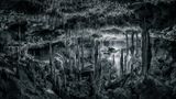 Image Name: Labyrinth of Speleothems  Photographer Name: Martin Broen  Year: 2022  Image Description: A diver navigating his underwater scooter through a chamber full of stalactites and stalagmites, showing the raw nature and amazing textures of the flooded caves in Mexico  Series Name: Unknown world below the ground  Series Description: This series was shot in the underwater cave system of the Yucatán Peninsula in Mexico – the biggest underwater river system in the world, with amazingly decorated tunnels and chambers that can compete with the best gothic churches in the world. These decorations took millennia to form in the dry caves and then got preserved when the caves flooded after the last ice age. A majestic world that is under our feet and is barely known due to the challenge of reaching and photographing it, with no natural light beyond the entry points (cenotes). These are locations that may be hours away from the closest exit to safety, through a labyrinth of underwater tunnels, but that can offer (to the daring photographer) some unique experiences to shoot.