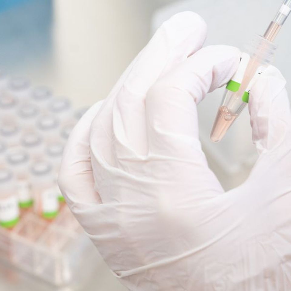 Eine biologisch-technische Assistentin bereitet PCR-Tests auf das Coronavirus vor