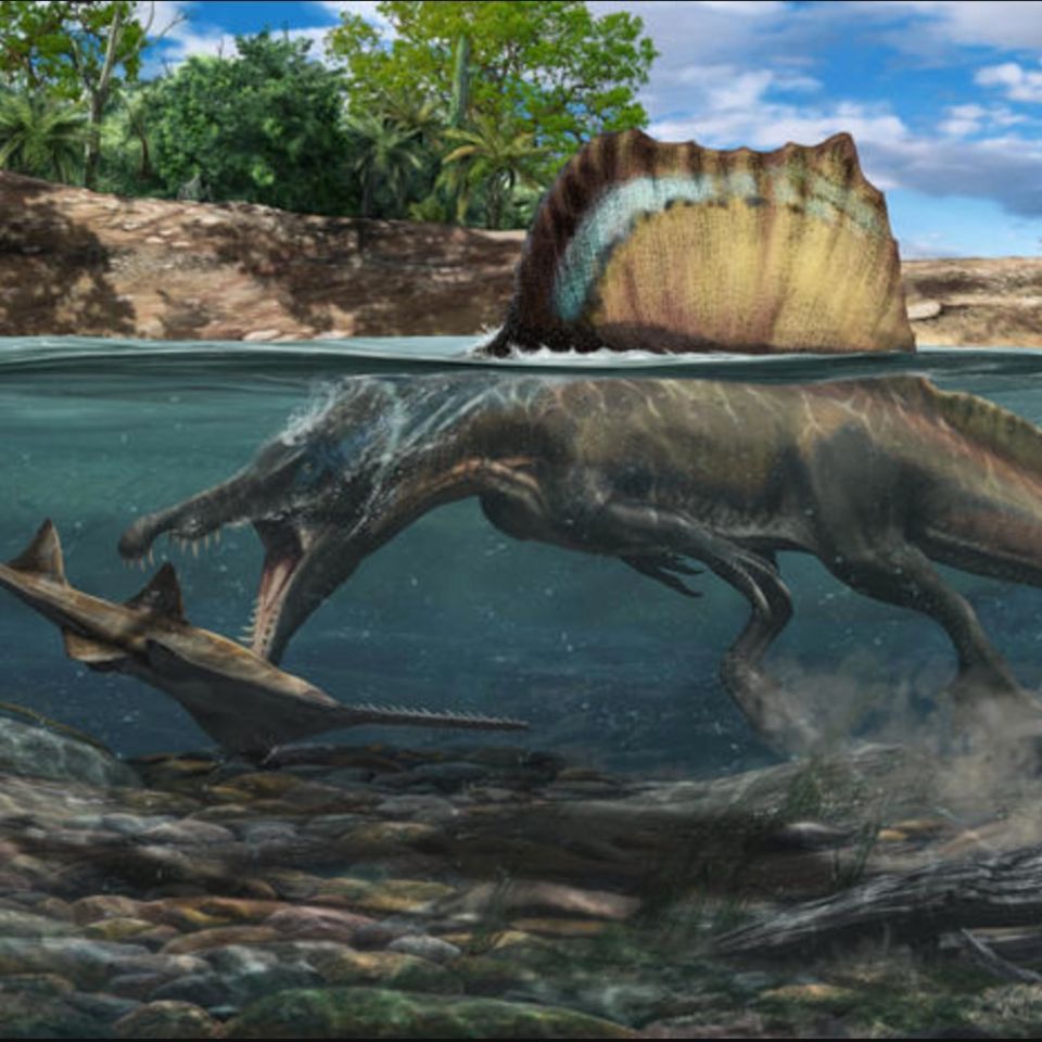 Spinosaurus
