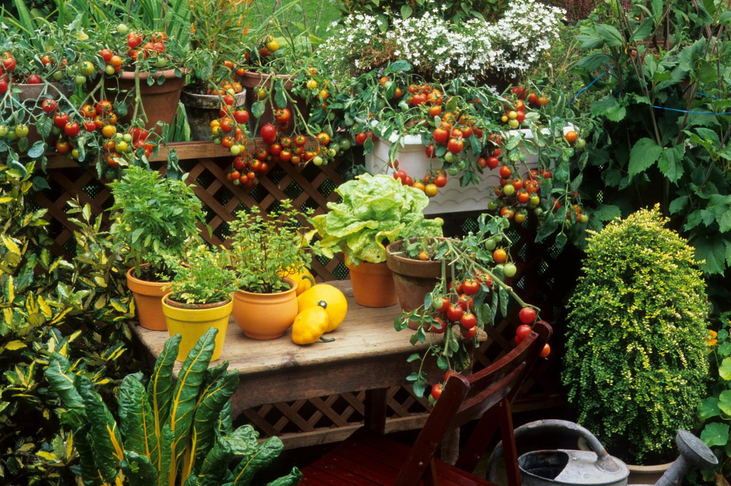 Ein bunter Balkongarten mit Salat, Tomaten und Kräutern.