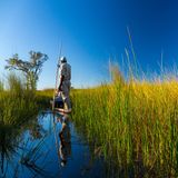 Guide und Gäste im Mokoro unterwegs auf einem schmalen Kanal des Okavango Deltas