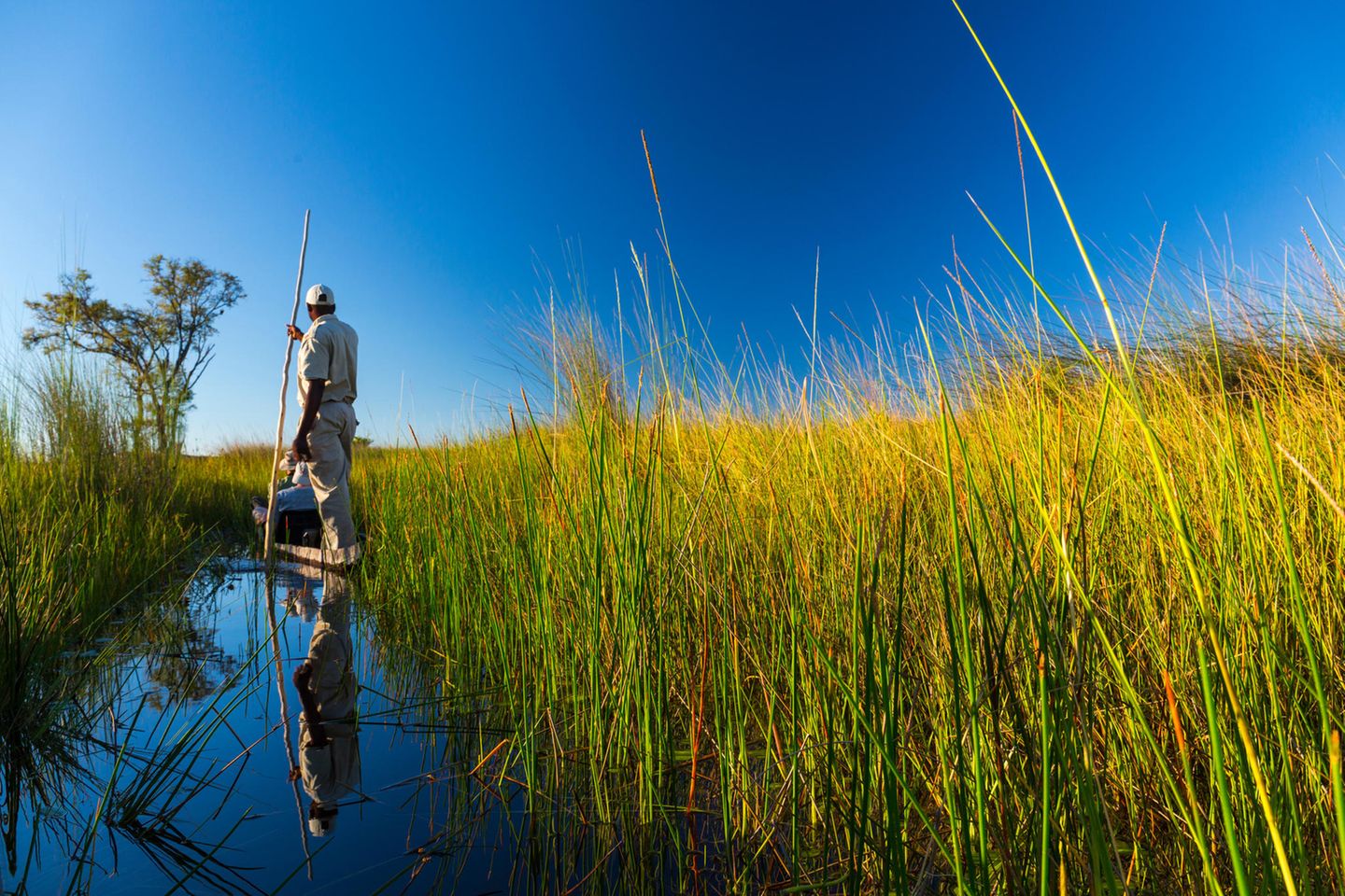 Guide und Gäste im Mokoro unterwegs auf einem schmalen Kanal des Okavango Deltas