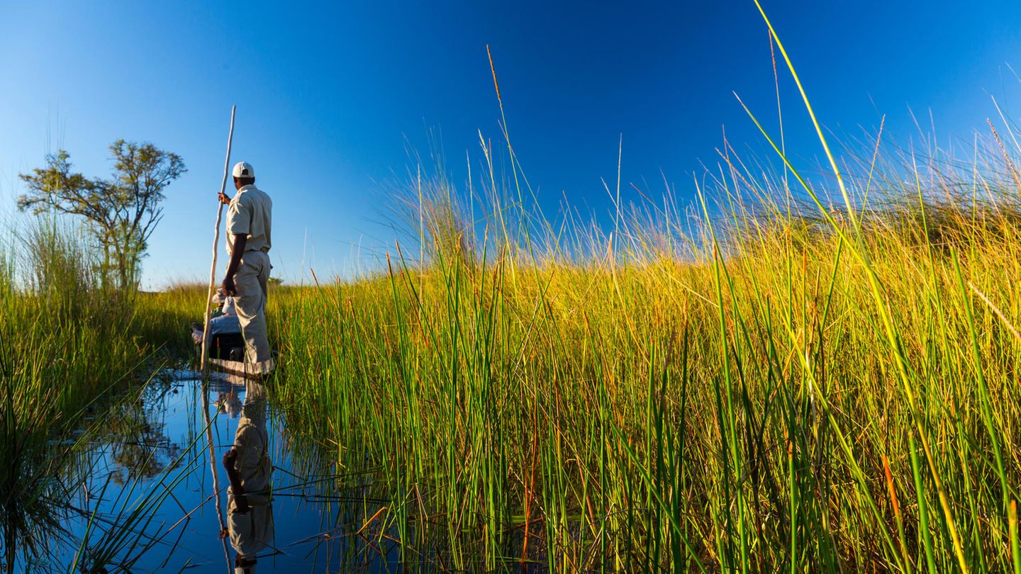 Unterwegs im Einbaum Guide und Gäste im Mokoro unterwegs auf einem schmalen Kanal des Okavango Deltas