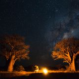 Camper zwischen zwei Bäumen am Lagerfeuer, darüber der Sternenhimmel