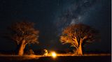 Camper zwischen zwei Bäumen am Lagerfeuer, darüber der Sternenhimmel