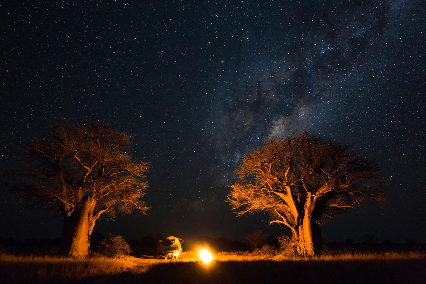 Camper zwischen zwei Bäumen am Lagerfeuer, darüber der Sternenhimmel