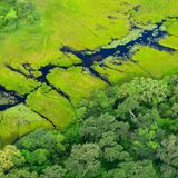 Blick aus der Vogelperspektive auf die Wasserwege des Okavango Deltas