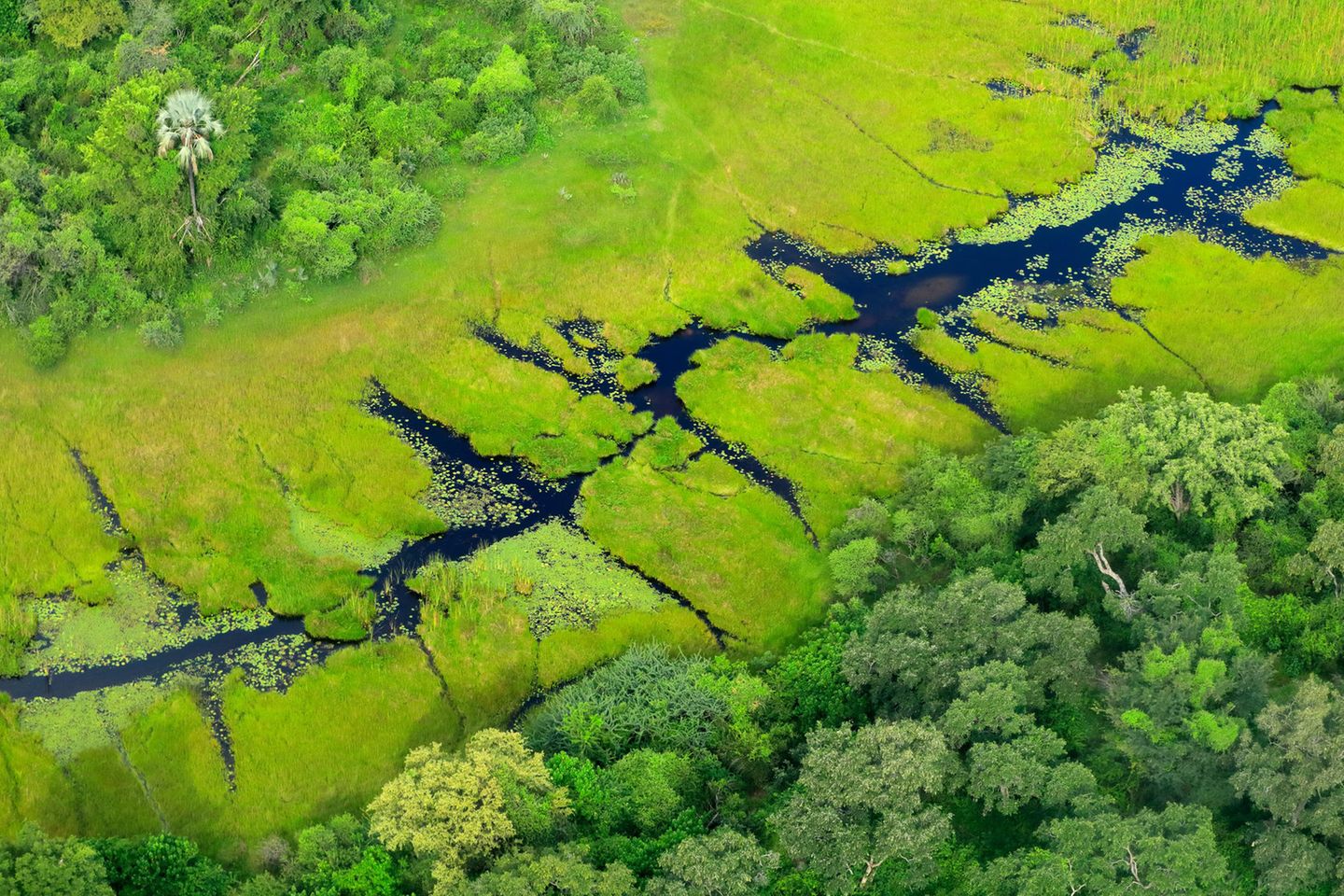 Blick aus der Vogelperspektive auf die Wasserwege des Okavango Deltas