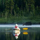 Paddler sitzt in seinem Boot und beobachtet einen Elch, der im Wasser steht und trinkt