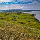 Pusteblumen im Vordergrund mit Blick über eine Landzunge auf den Magdalenen-Inseln