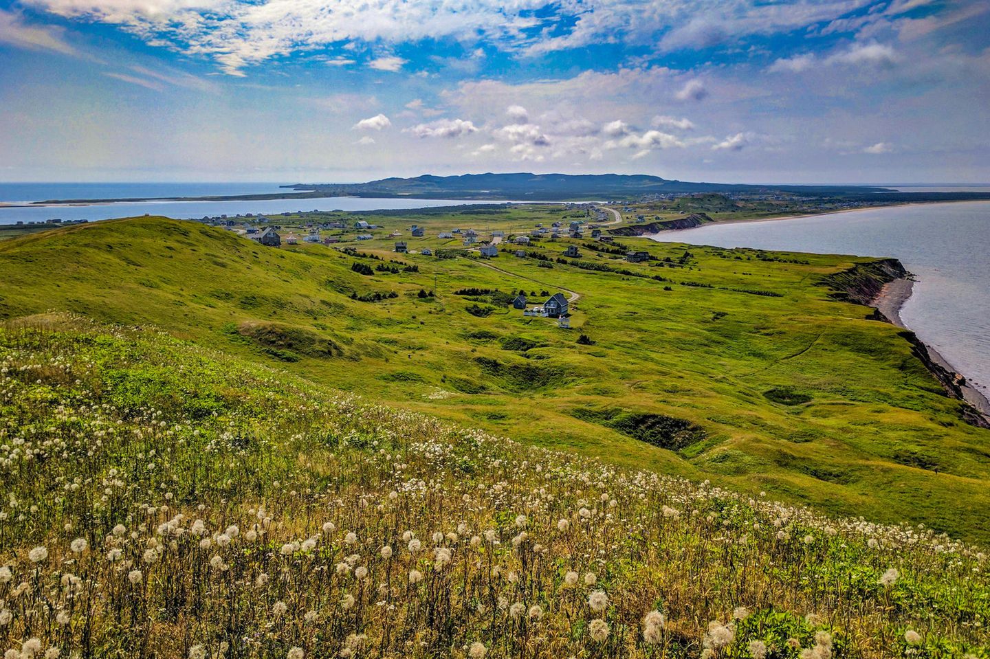 Pusteblumen im Vordergrund mit Blick über eine Landzunge auf den Magdalenen-Inseln