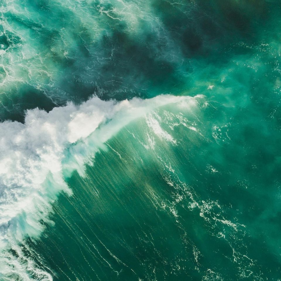 Klimawandel: Den Ozeanen geht der Sauerstoff aus: Erstickt das Leben im Wasser?