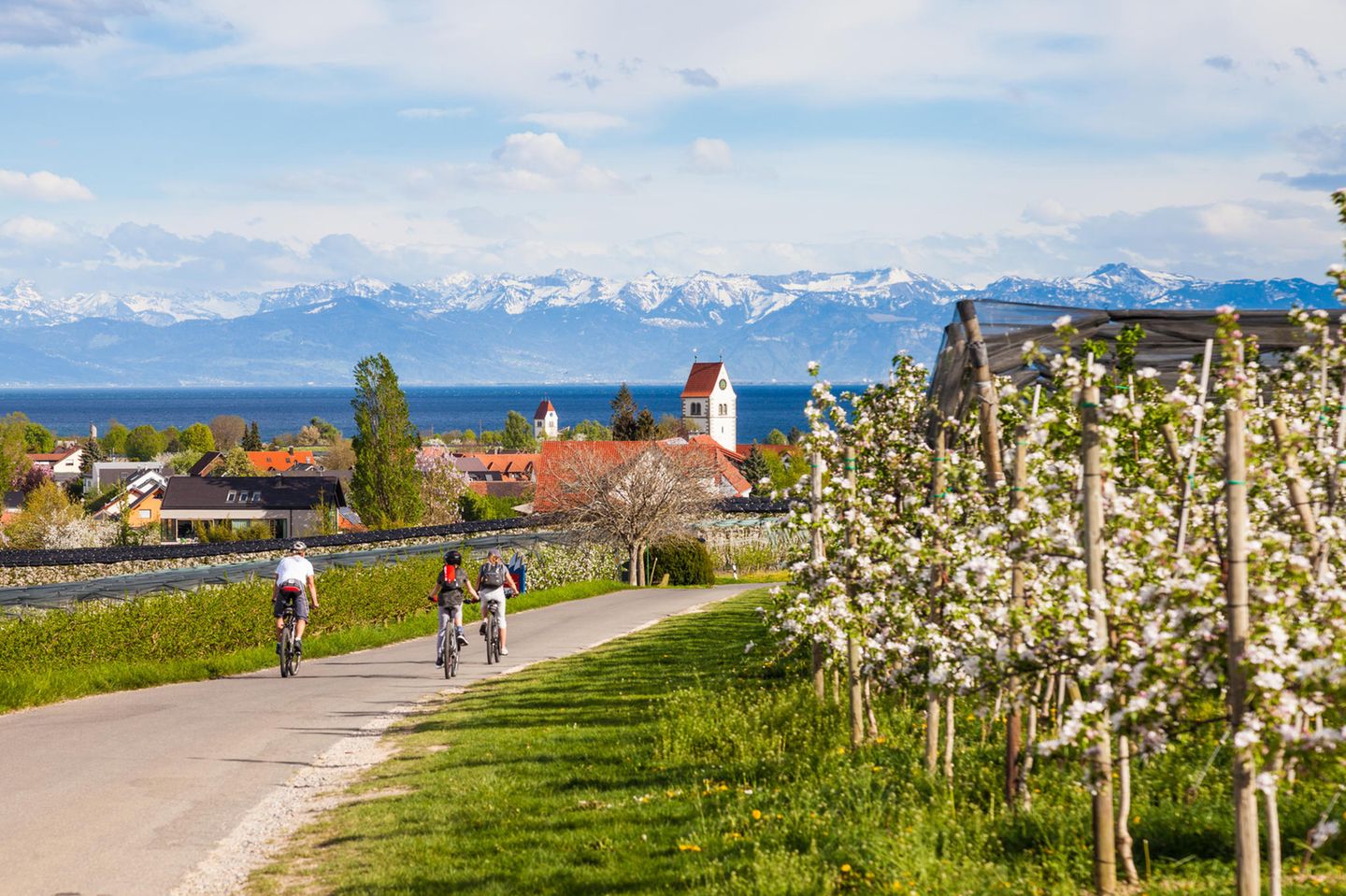 Radfahren am Bodensee