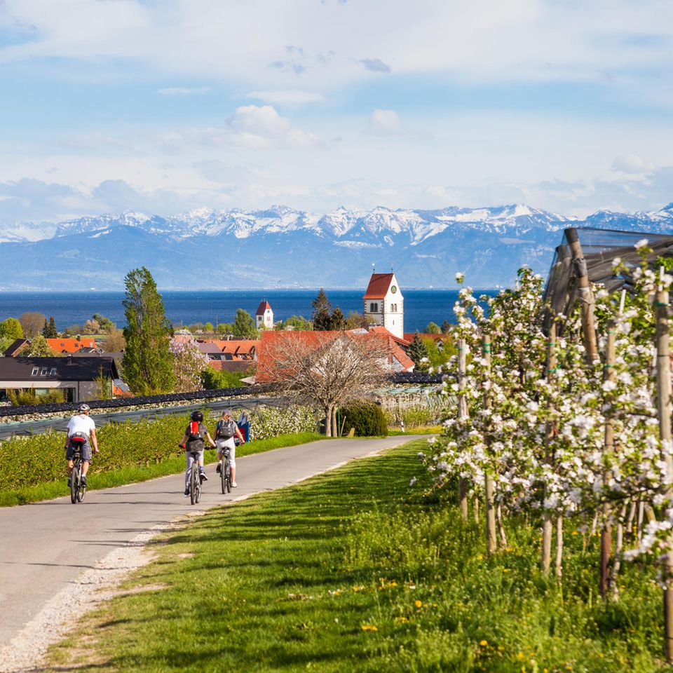 Radfahren am Bodensee