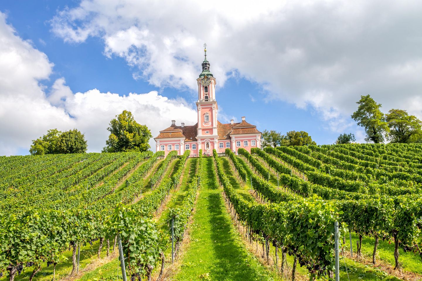 Basilika Birnau in den Feldern am Bodensee