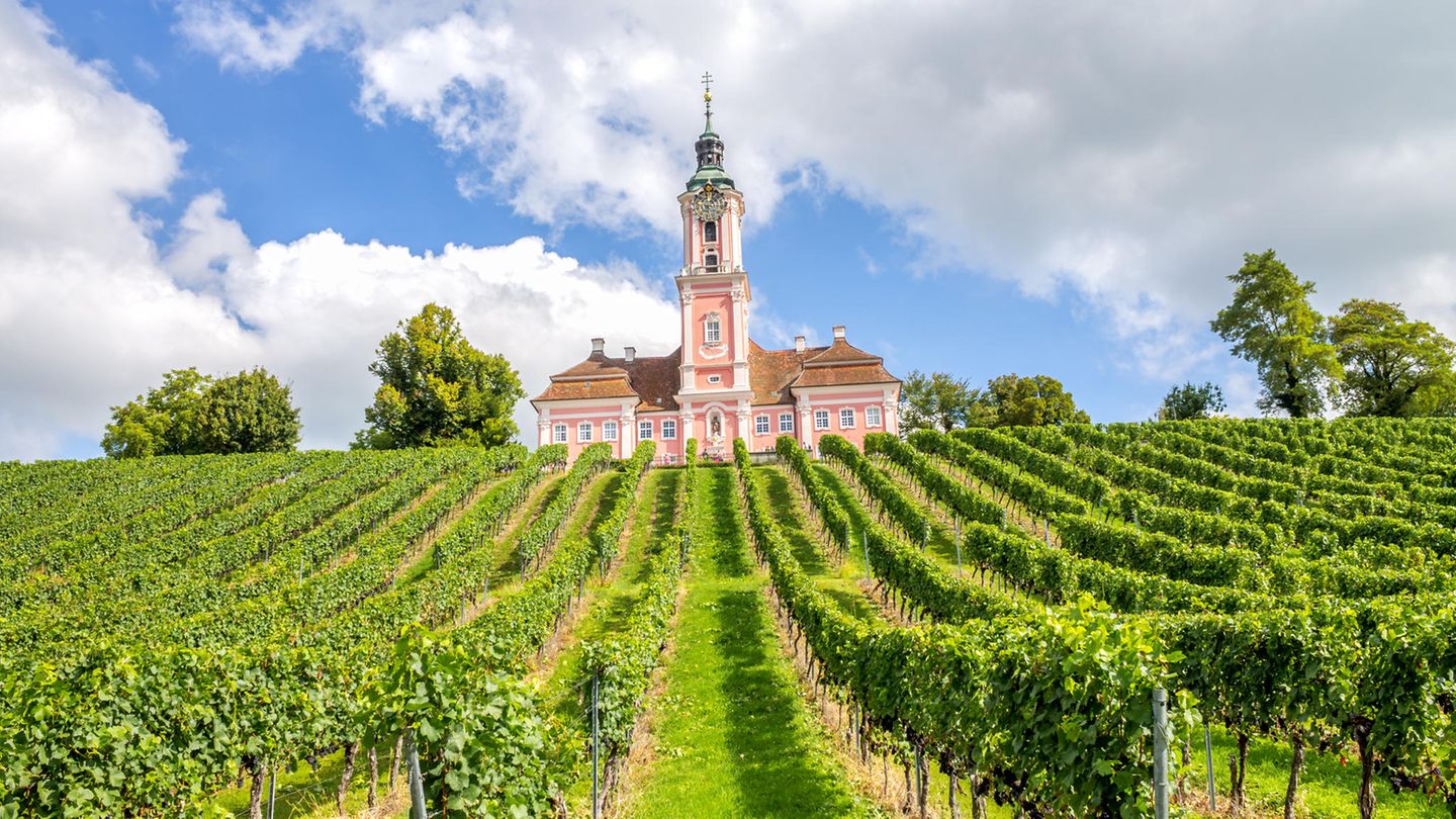 Erlebnisweg "Wasser, Wein, Barock" Basilika Birnau in den Feldern am Bodensee