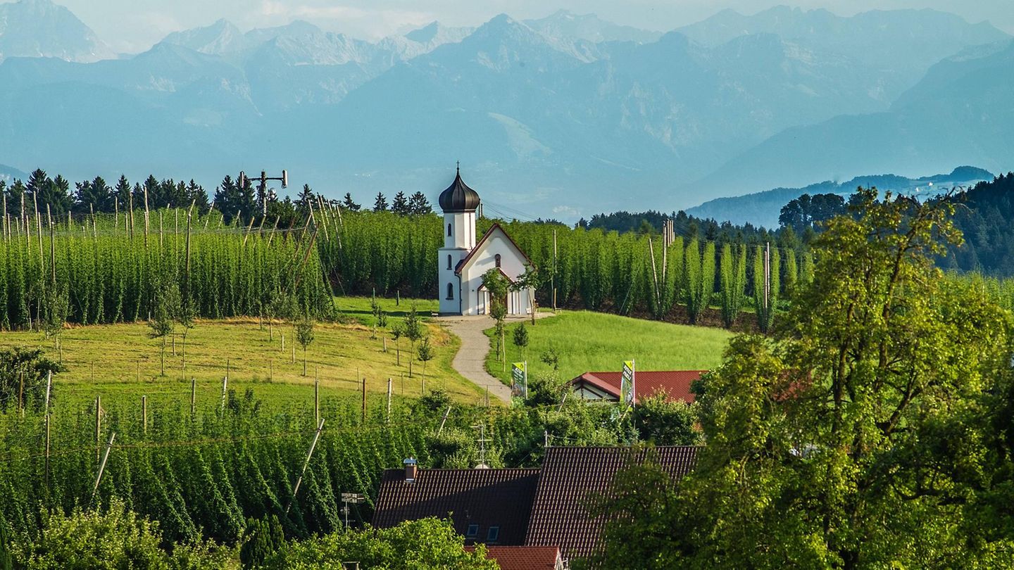 Kulturgärten-Tour am Bodensee Kapelle St.Georg zwischen Hopfenfeldern in Dietmannsweiler bei Tettnang