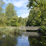 Radler auf dem Oberschwaben-Allgäu-Radweg