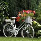 Altes Fahrrad mit Blumen im Fahrradkorb