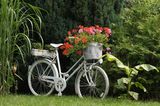 Altes Fahrrad mit Blumen im Fahrradkorb
