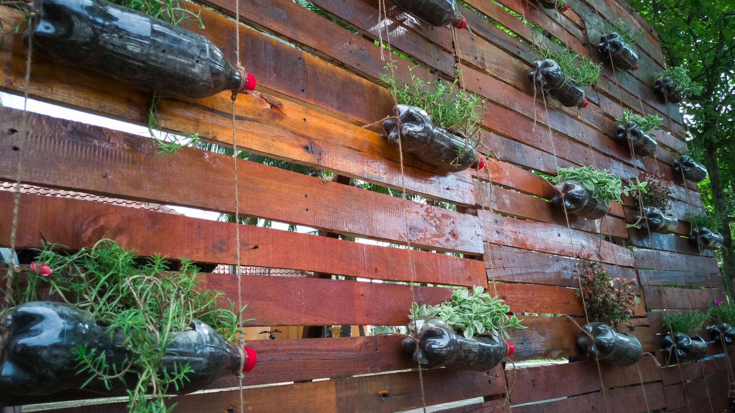 Mit Pflanzen bestückte Plastikflaschen an einer Holzwand