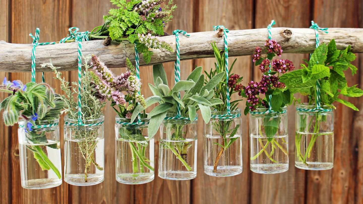 Upcycling im Garten: die 10 schönsten Deko-Tipps!