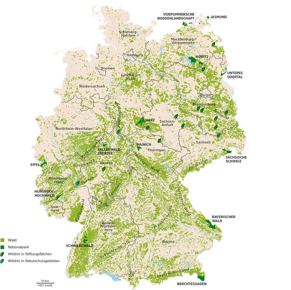 Übersichtskarte: Wo es in Deutschland noch echte Wildnis gibt