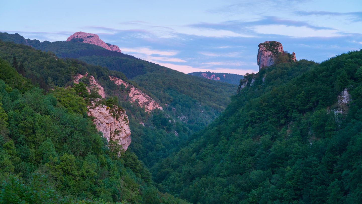 Blick auf die Waldlanschaft des Nationalparks Aizkorri-Aratz