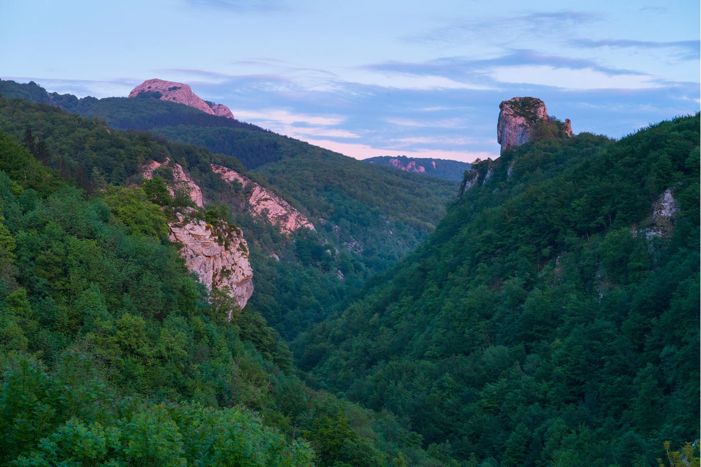 Blick auf die Waldlanschaft des Nationalparks Aizkorri-Aratz
