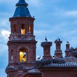 Störche sitzen in ihren Nestern auf dem Kirchendach von Alfaro