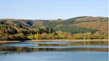 Stausee Obersauer, Naturpark Obersauer