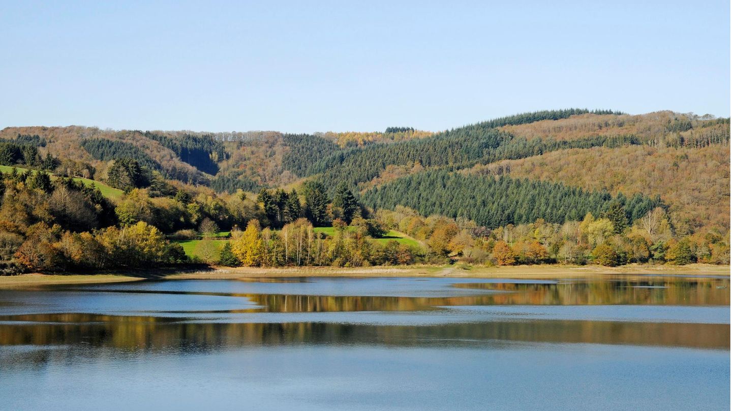 Stausee Obersauer, Naturpark Obersauer