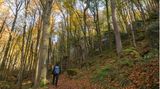 Wanderer im Wald in Luxemburg