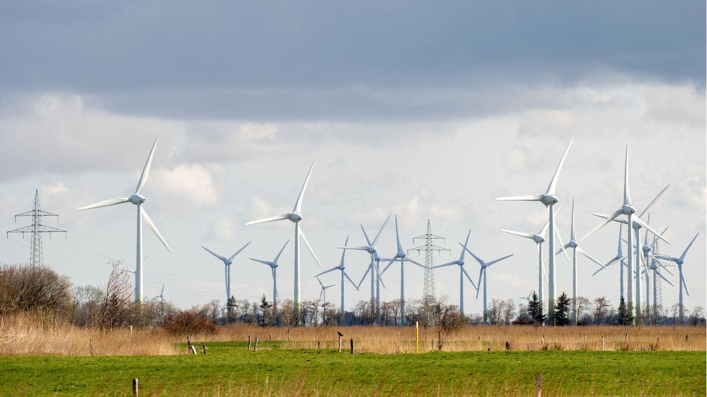 Zahlreiche Windkraftanlagen stehen bei sonnigem Wetter auf Feldern im Landkreis Aurich, Niedersachsen