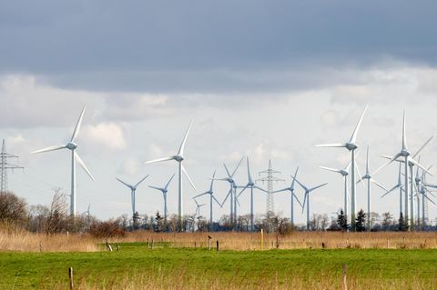 Zahlreiche Windkraftanlagen stehen bei sonnigem Wetter auf Feldern im Landkreis Aurich, Niedersachsen