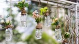 Hängende Blumen in Glasflaschen, die mit einer Kordel befestigt sind.
