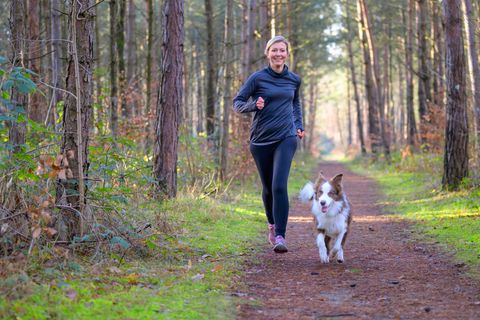 Joggen mit Hund: Eine Frau joggt mit Hund durch den Wald