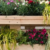 Vertikaler Garten mt Palletten auf der Terrasse