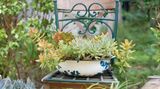 Geschirr-Upcycling für die Terrasse