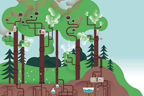Umwelt: Die Klima-Maschine: Wie Wälder Luft und Grundwasser reinigen