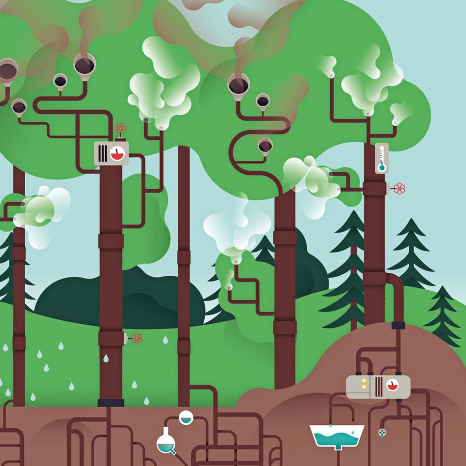 Wie eine gigantische Maschine nehmen Bäume in ihren Kronen verschmutzte Luft (dunkler Qualm) auf und geben sie gereinigt wieder ab (helle Schwaden). Zudem hilft ihr weit verzweigtes Wurzelsystem im Waldboden, schädliche Rückstände aus dem Sickerwasser zu entfernen
