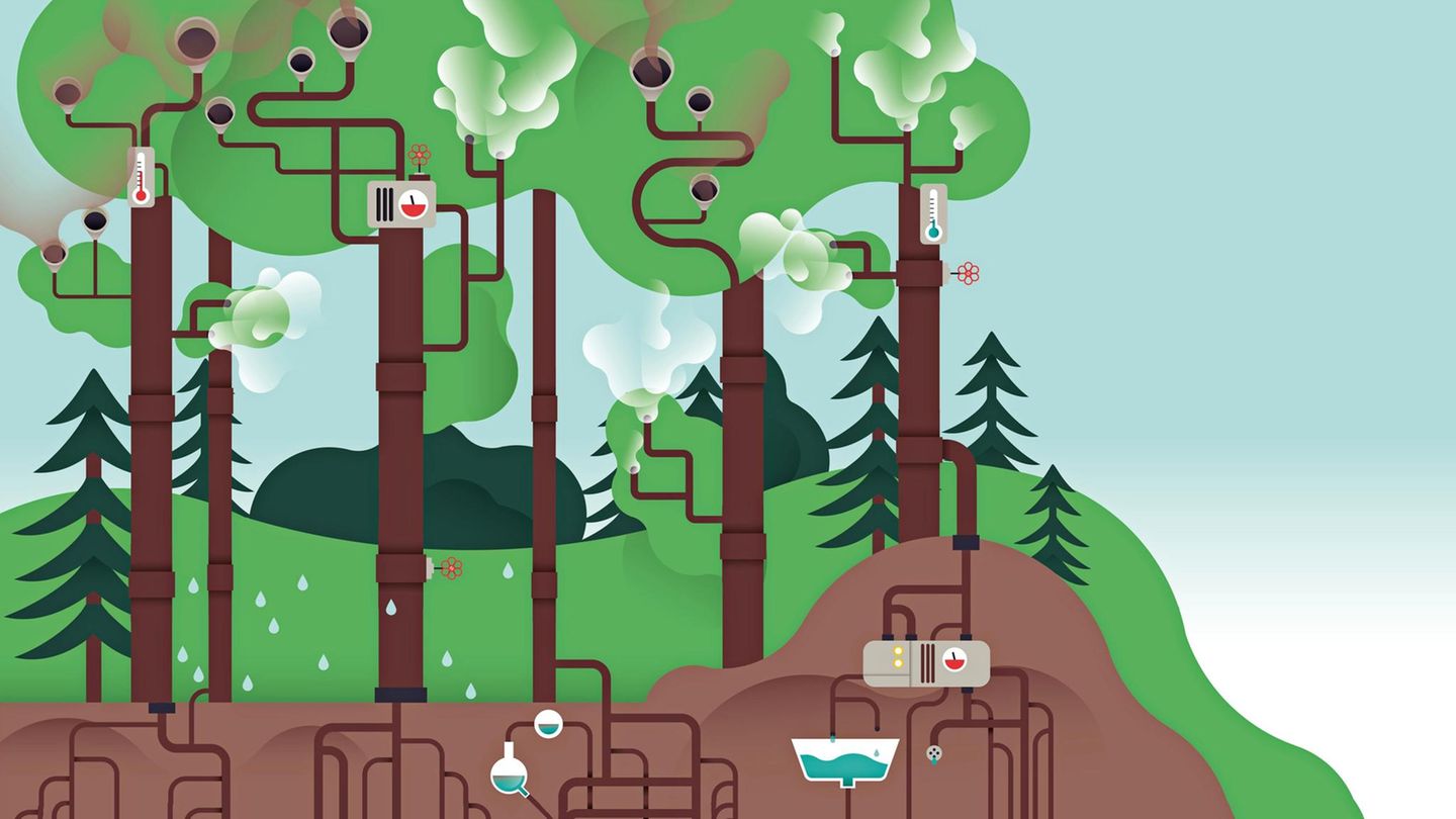 Wie eine gigantische Maschine nehmen Bäume in ihren Kronen verschmutzte Luft (dunkler Qualm) auf und geben sie gereinigt wieder ab (helle Schwaden). Zudem hilft ihr weit verzweigtes Wurzelsystem im Waldboden, schädliche Rückstände aus dem Sickerwasser zu entfernen