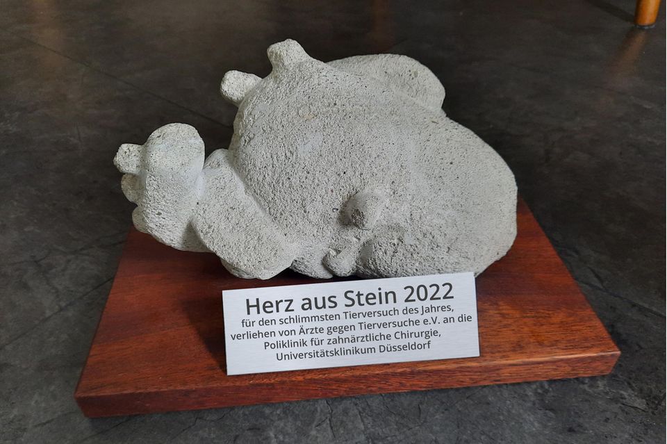 Der Negativpreis "Herz aus Stein" geht 2022 an die Uniklinik Düsseldorf