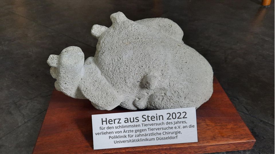 "Herz aus Stein 2020": Der Negativpreis "Herz aus Stein" geht 2022 an die Uniklinik Düsseldorf Der Negativpreis "Herz aus Stein" geht 2022 an die Uniklinik Düsseldorf
