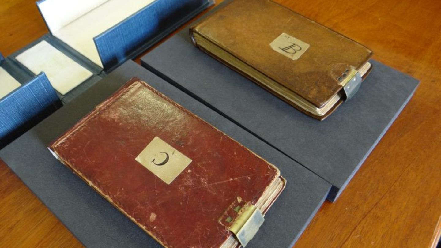 Darwin-Notizbücher
