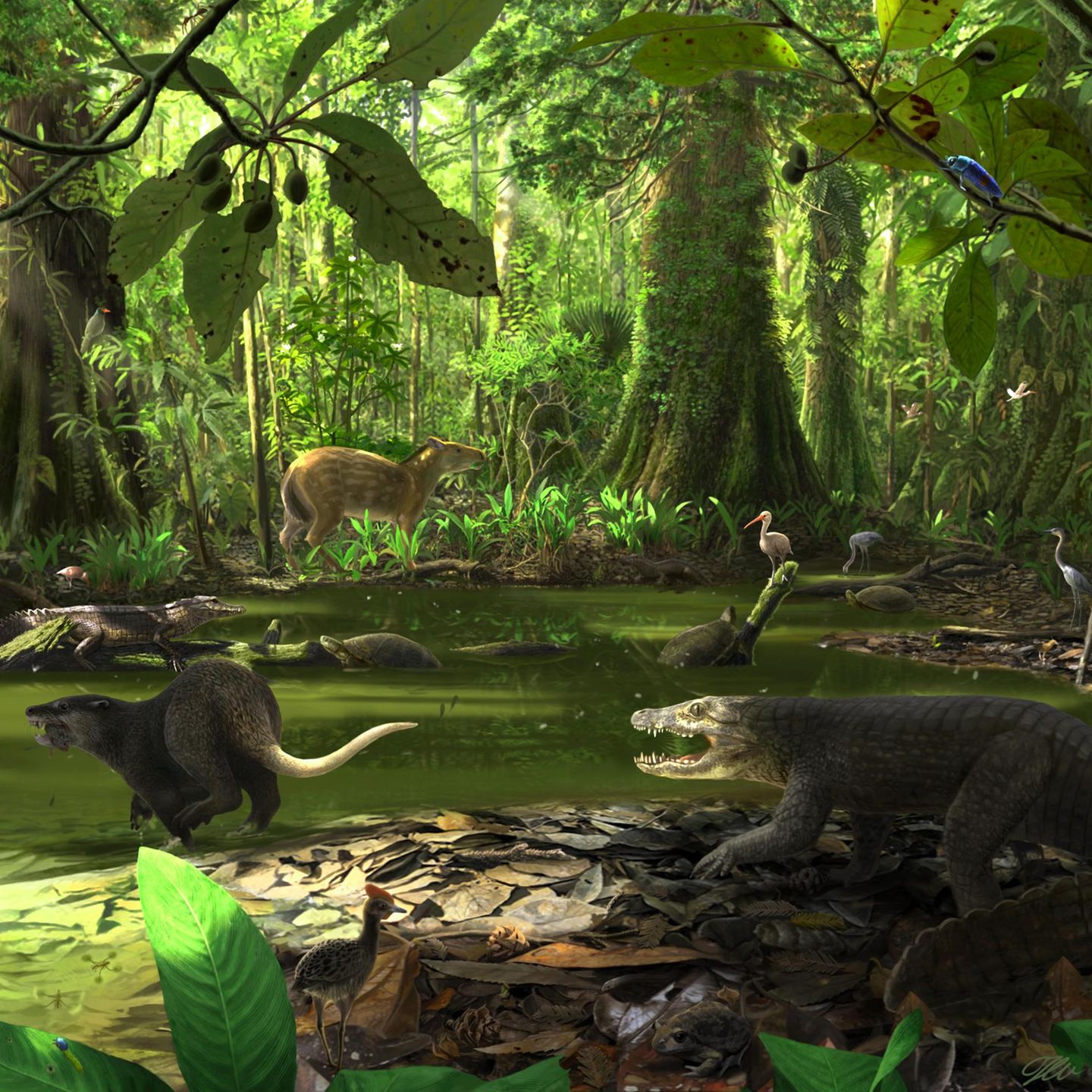 Rund um den Maarsee erstrecken sich Sumpfgebiete, in denen das Leben floriert – und die bevölkert sind von Urpferden, Wasservögeln, Schildkröten und Krokodilen