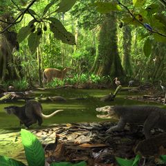 Rund um den Maarsee erstrecken sich Sumpfgebiete, in denen das Leben floriert – und die bevölkert sind von Urpferden, Wasservögeln, Schildkröten und Krokodilen